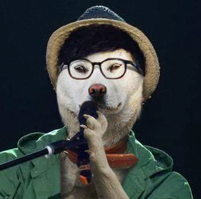 ▲인터넷에서 화제를 모으고 있는 김범수 닮은 개 짤방