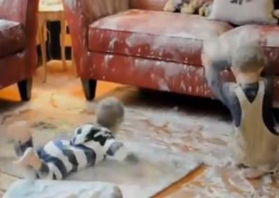 ▲엄마가 집을 비운 사이 밀가루를 온 집안에 뿌려 집안을 엉망으로 만든서양의 한 형제가 눈길을 끌었다. /사진=유튜브 동영상 캡처