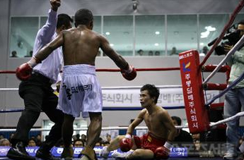 ▲ WBO 인터콘티넨탈 플라이급 타이틀매치 1차 방어전 마지막12라운드에서 종료직전 헤리 아몰에게 안면을 강타당한 최요삼이다운되고 있다.