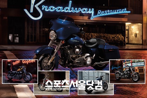▲ 할리데이비슨 국내 판매 모델