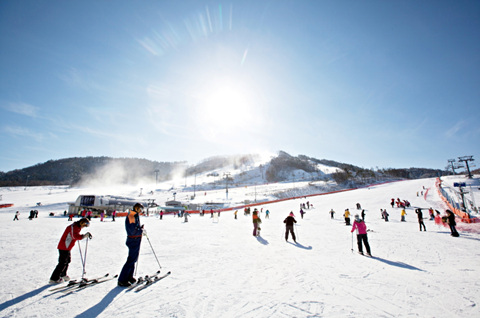 ▲ 알펜시아가 스키장 개장 이래 역대 최대 매출 달성을 기념해 스키장을 무료 개장한다.