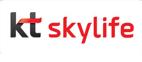 KT스카이라이프 대표가 3D채널 폐지를 선언했다.