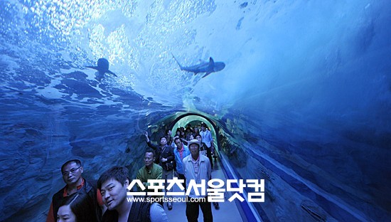 여수엑스포 아쿠아리움