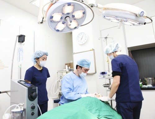 강태조 원장이 뷸리테크닉 자가지방이식 시술을 하는 모습.