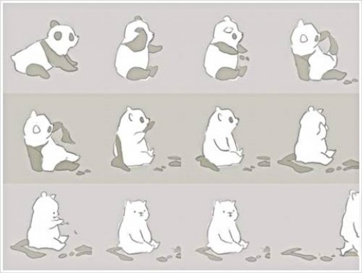 팬더가 화장을 지우면이라는 가정 하에 그린 그림이 온라인상에서 인기를 끌고 있다./온라인 커뮤니티