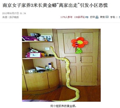 중국에서 뱀이 집을 나갔다며 공고를 붙인 여성이 네티즌의 비난을 사고 있다./해당 보도 캡처