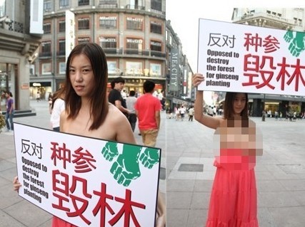 인삼밭 조성으로 인한 산림 훼손을 반대한 반나체 시위녀./웨이보캡처