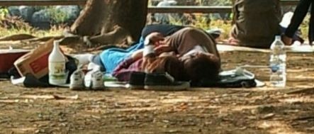 공원에서 포착된 막걸리 커플이 비난을 사고 있다./온라인 커뮤니티 캡처