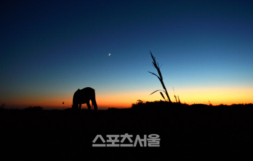 노랫말처럼 제주도의 밤은 푸르다. 정말이다.