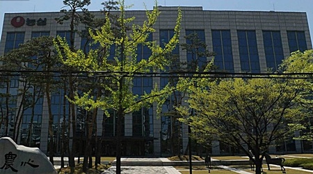 농심이 신사업을 통해 새로운 활로 모색에 나선다. /다음로드뷰