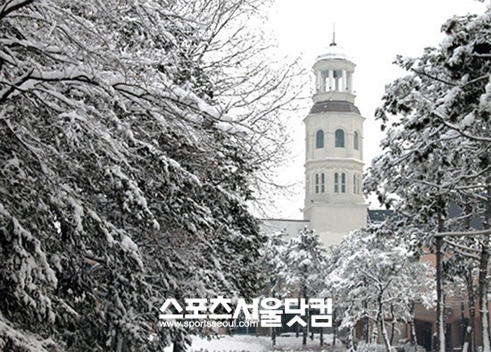 메이필드 호텔이 겨울을 맞아 다음달 1일 부터 겨울 패키지 렛 잇 스노우 3종을 선보인다.