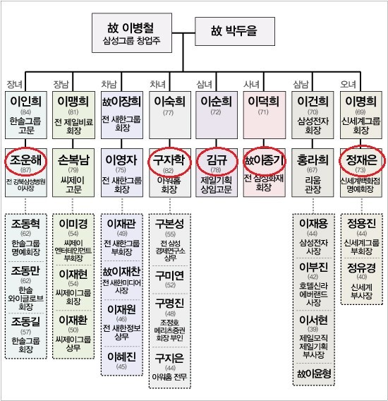 이건희 삼성그룹 회장이 취임 25주년을 맞은 가운데 삼성가 3세 경영인들의 인사에 세간의 관심이 쏠리고 있다.  삼성가 가계도 / 더팩트 DB