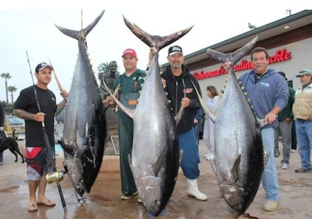 200kg 초대형 참치가 잡혔다. / 사진=온라인 커뮤니티