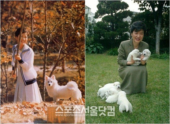 박근혜 대통령 당선인의 반려견에 대한 사랑은 유명하다. 왼쪽 사진은 박 당선인이 퍼스트레이디 대행시절 방울이와 함께 있는 모습이며, 오른쪽은 진돗개 봉달이-봉숙이 커플의 건곤감리청홍백 7마리 강아지의 사진이다. / 사진 출처 = 박근혜 당선인 미니홈피