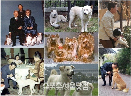 왼쪽 위-아래는 이승만 전 대통령과 박정희 전 대통령이 키우던 강아지 사진. 가운데줄은 위에서부터 전두환 전 대통령, 노태우 전 대통령, 김대중 전 대통령이 키우던 강아지이며, 오른쪽 줄 위는 노무현 전 대통령과 누리, 아래는 이명박 대통령과 청돌이 / 사진출처 = 온라인 커뮤니티, 이명박 대통령 페이스북