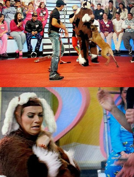 멕시코 미녀 MC가 방송 중 개에 물리는 사고를 당했다. / 유튜브 캡처