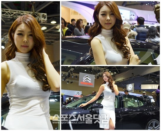 30일 2013 서울모터쇼에서 포르쉐 레이싱 모델이 차량 옆에서 섹시한 포즈를 취하고 있다./고양=황준성 기자