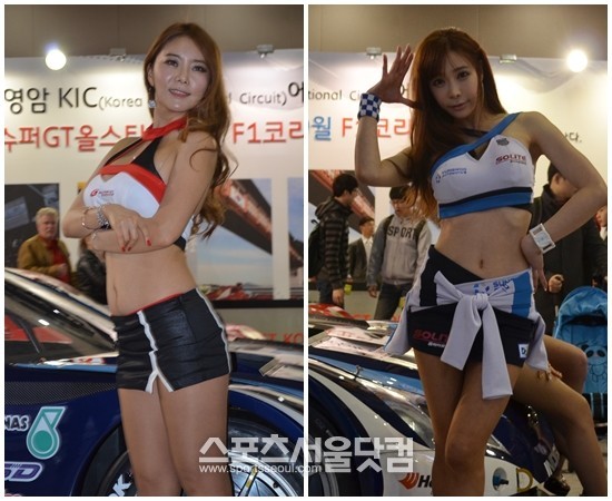 30일 2013 서울모터쇼에서 레이싱 모델이 차량 옆에서 섹시한 포즈를 취하고 있다./고양=황준성 기자