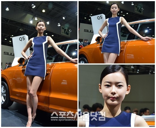 30일 2013 서울모터쇼에서 레이싱 모델이 차량 옆에서 매혹적인 포즈를 취하고 있다./고양=황준성 기자