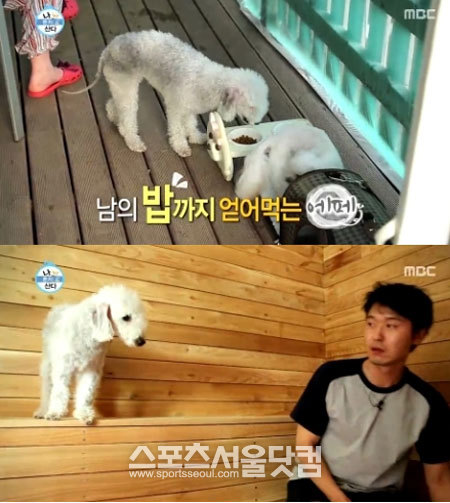 이성재가 반려견 에페의 말썽 때문에 휴가를 망쳤다. / MBC 나 혼자 산다 캡처