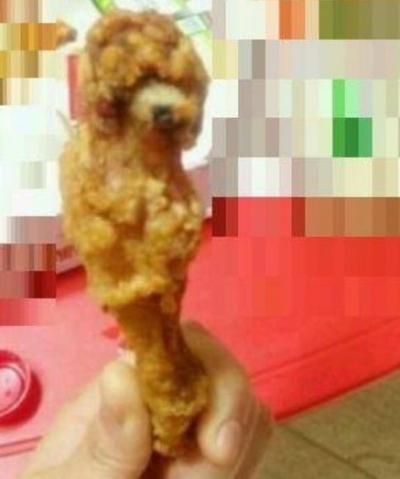 푸들 치킨 사진이 온라인 커뮤니티에 공개됐다. / 온라인 커뮤니티