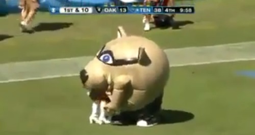 마스코트가 치어리더의 도발(?)에 먹방 응징에 나서고 있다. /출처=유튜브 영상 캡처