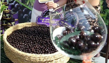 건강에 좋은 열매로 알려진 아사이베리에 대한 관심이 높은 가운데 부작용이  관심을 받고 있다../KBS 굿모닝 대한민국 캡처