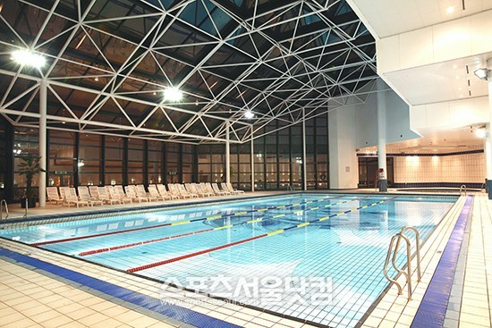 그랜드 힐튼 서울의 실내 수영장은 벽면 전체가 통유리로 자연 채광을 그대로 느낄 수 있다.