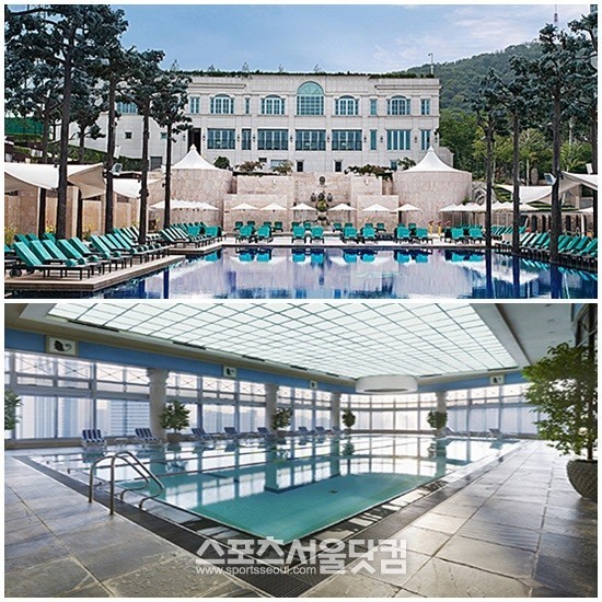 도심 속 자연을 콘셉트로 뛰어난 전망을 자랑하는 특급호텔 수영장 역시 고객 맞이에 한창이다. 반야트리 클럽 앤 스파 서울의 야외 수영장 오아시스(위쪽)와 플라자호텔 실내 수영장.