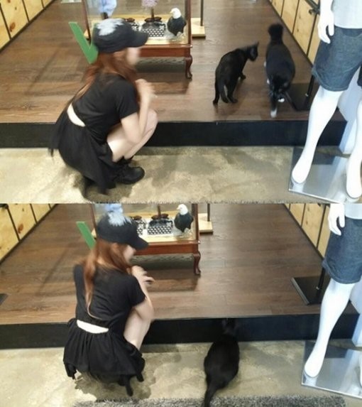 수지가 과감한 허리 노출을 해 누리꾼들의 관심을 모으고 있다./온라인커뮤니티