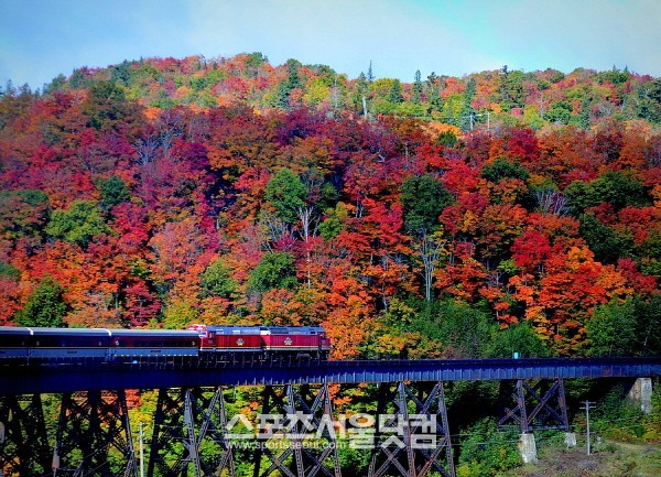 캐나다의 가을빛을 감상하는 최고의 방법은 바로 아가와 협곡 관광열차를 타는 것이다.