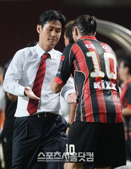 FC 서울이 22일 열린 2013 아시아축구연맹 챔피언스리그 8강 1차전 알 아흘리와 원정 경기에서 1-1로 비겼다. / 더팩트 DB