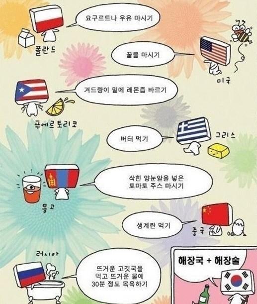 나라별 해장 방법이 공개됐다.  / 온라인 커뮤니티