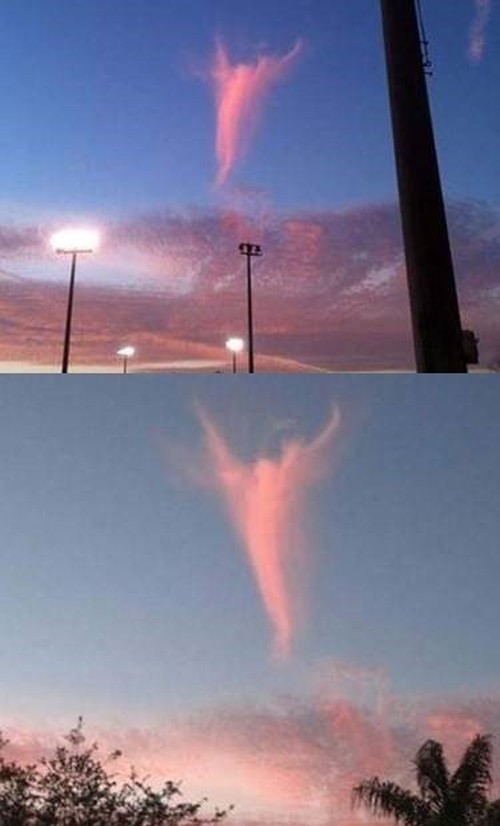 날아가는 듯한 천사의 모양을 담은 구름이 화제다. / 사진 = 온라인커뮤니티