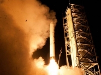 발사 순간 포착된 개구리, 식지 않는 인기! '볼수록 신기하네'