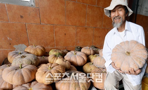 농부로 돌아간 강기갑 전 통합진보당 대표가 지난 12일 직접 수확한 호박을 들고 환한 미소를 짓고 있다.