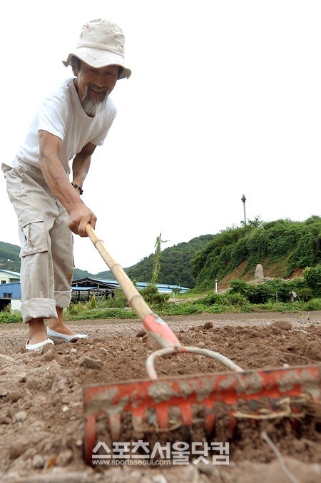 능숙하게 밭을 고르는 강 전 대표.
