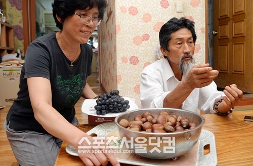 강 전 대표의 부인 박영옥 씨(왼쪽)가 인터뷰를 하고 있는 강 전 대표와 취재진에게 드셔보시라며 햇밤과 포도를 내놓고 있다.