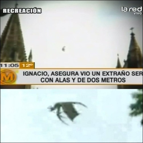 칠레에서 괴생명체가 포착돼 화제를 모으고 있다. / 국외 온라인 커뮤니티