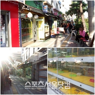 애견거리의 가게 주인들은 밖에 나와 힘없이 앉아 있었고 가게 안은 텅 비어있었다.