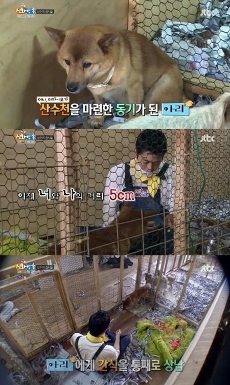 3일 오후 방송된 종합편성채널 JTBC 신화방송에서 에릭은 유기견 보호소에서 만난 아리에게 애착을 보이며 끊임없이 애정을 표현해 눈길을 끌었다./JTBC 신화방송 방송 캡처