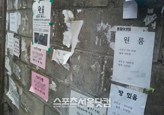 대학가 원룸촌의 길거리 곳곳에 붙어있는 빈 방 전단지. 듬성등성 붙어있는 홍보 전단이 원룸촌의 불경기를 실감하게 했다. /송형근 인턴기자