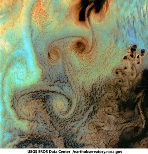 오징어 얼굴 구름 사진이 온라인을 뜨겁게 달구고 있다. / 온라인 커뮤니티