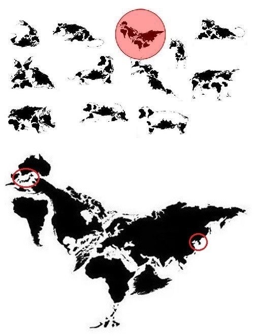닭 모양 세계지도가 네티즌의 주목을 받고 있다. / 온라인 커뮤니티