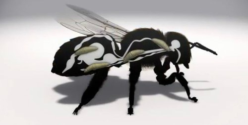 최근 동영상 공유 사이트 유튜브에는 ‘좀비 벌 기생충 미국 확산’이란 제목의 영상이 게재됐다. /온라인 커뮤니티 캡처