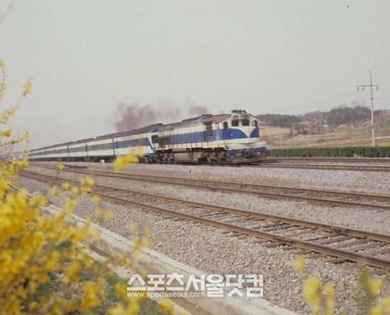 통일호는 2004년 3월31일에 퇴역하고 통근 열차로 용도가 변경돼 활용되고 있다. /코레일 제공