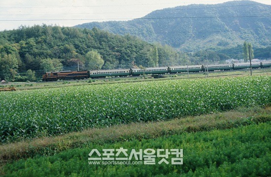 비둘기호는 2000년 11월14일까지 현역생활을 하고 퇴역했다. /코레일 제공