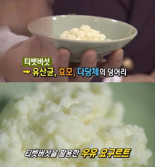 유산균의 최대 적이 곰팡이균을 만드는 밀가루인 것으로 밝혀졌다./MBN 엄지의 제왕 방송 캡쳐