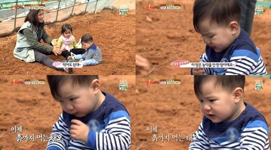 리키 김 아들 태오는 주말농장에 도착해 흙을 먹어 엄마 류승주를 걱정스럽게 했다./SBS 오! 마이 베이비방송 캡처