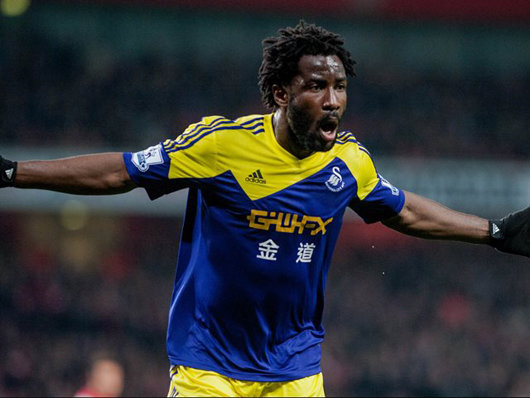 코트드부아르 공격수 윌프레드 보니가 15일 열린 브라질 월드컵 C조 1차전 일본과 경기에서 후반 19분 동점 골을 터뜨렸다. / 스완지 시티 페이스북